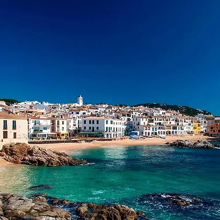 Precioso Reformado En 1ra Linea De Mar Sin Vistas קאלייה דה פאלאפרוג'ל